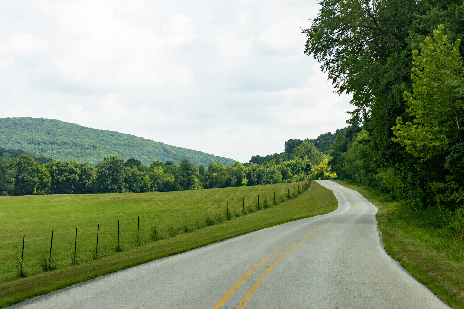 Black Oak route scenery