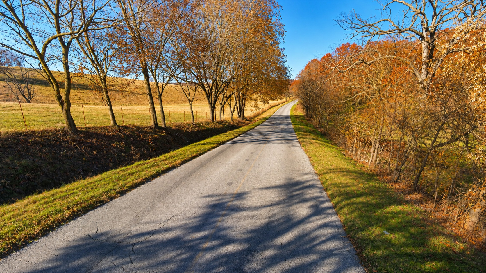 Elm Springs route scenery.